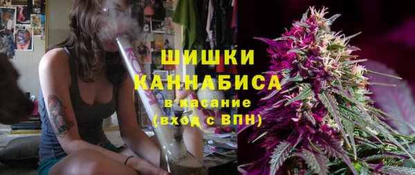 ешки Бронницы
