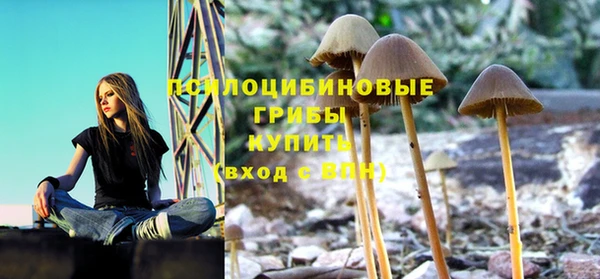 Альфа ПВП Володарск