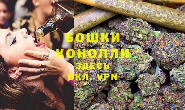 спайс Бородино