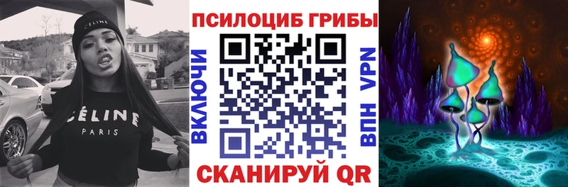 продажа наркотиков Старица Галлюциногенные грибы MAGIC MUSHROOMS